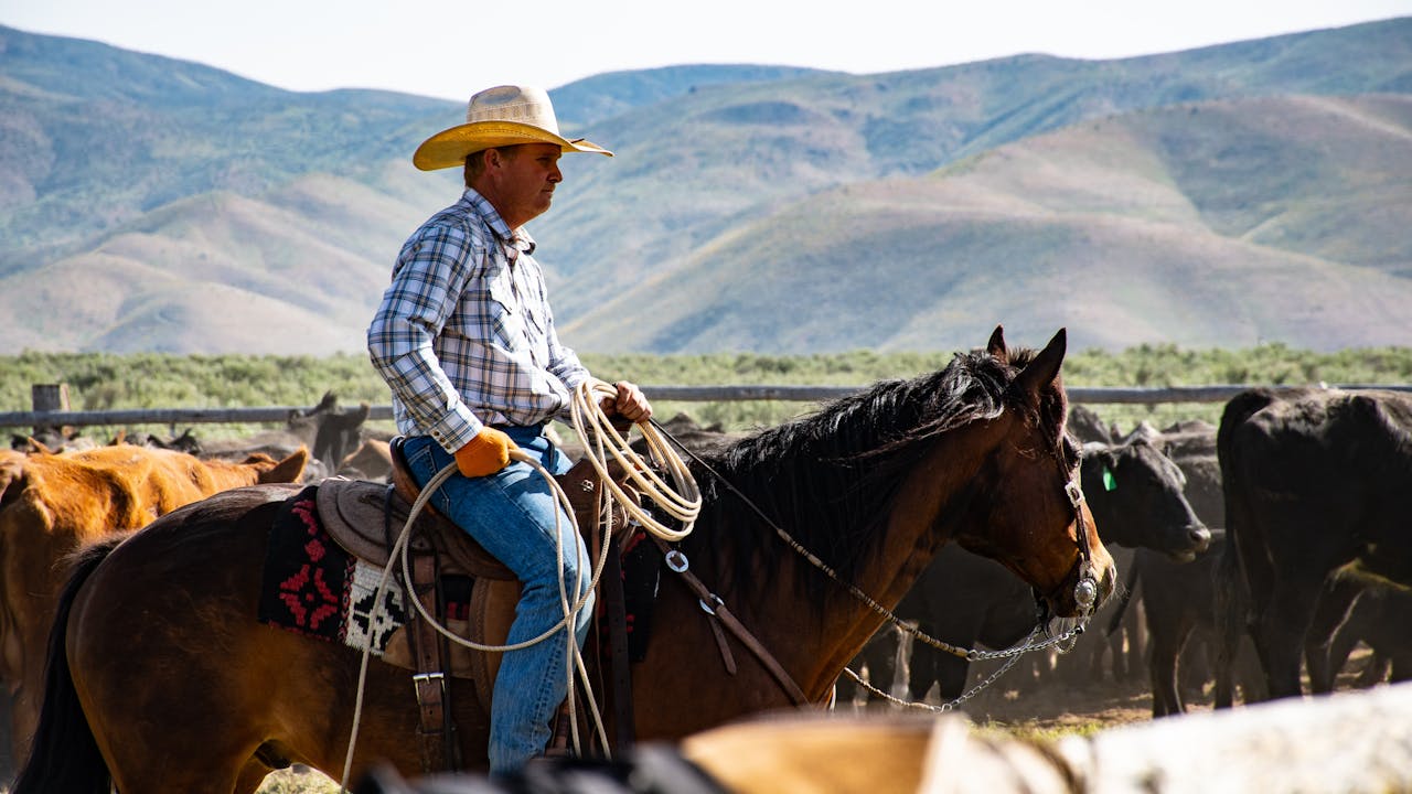 Front Page -Western Cowboy Equipment pexels brett sayles 1069710